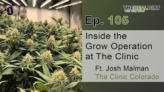 Inside A Legal Cannabis Grow Operation