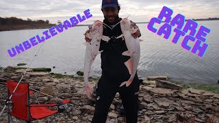 RARE catch turns even more RARE (Fall Catfish)