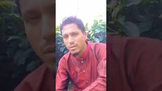 #নাতেরাসূল #trending #shortsfeeds #viralshorts #short #shortvideo #myfirstvlog