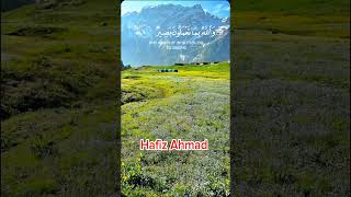 Talawt Quran majeed