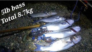 Coastal Foraging At Night On Big spring Tides