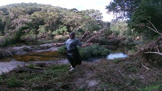 UNSUCCESFUL ATTEMPT TO REACH THE WATERFALL ON THE TOUWS RIVER WALKING TRAIL !!! #hikingtrails