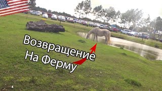 Вернулись на американскую ферму спустя год