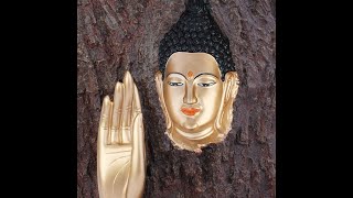 Lord Buddha's Second Truth   Dukkha Samudaya   The Truth of the Cause of Suffering