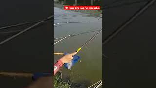 streak ikan mujair nilla#mancing #subscribe #mancingmania #shorts #ikannila