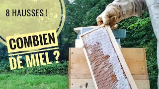 récolte de miel 🍯 été 2023