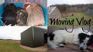 We Moved To A Smallholding!