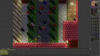 Tibia 7.3 (Aurea. War between Valiants and other guilds, 60 Royal Paladin pov. Many frags.)