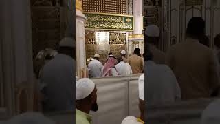 Alhamdulillah Ziarat e Rawda e RasoolAllah (sa: ) | Masjid Al Nabwi | Madinah | রওজা জিয়ারত ❤️