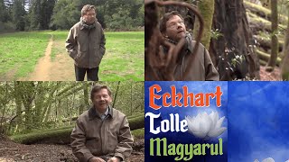 Eckhart Tolle Magyarul - Meditáció - Kint a természetben (podcast, 11. epizód)