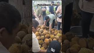 Durian Runtuh PEKANBARU RIAU