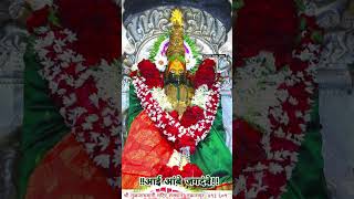 *रविवार दि.२४/११/ २०२४ #tuljapur #viralvideo #marathi #video #videos