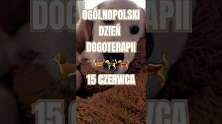 Ogólnopolski Dzień Dogoterapii #dogoterapia #goldenretriever