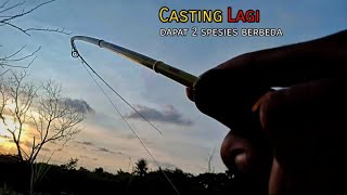 casting kalo hari mulai gelap ikan ganas ganasnya