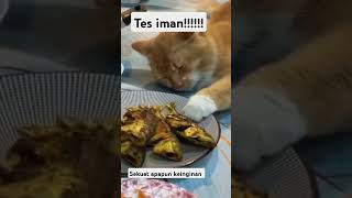 tes keimanan