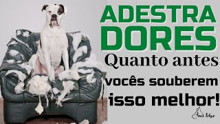 Adestrador, O quanto antes você souber isso melhor.