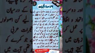 Surah e Hujrat 49 #shorts #youtubeshorts #shariqjabeen