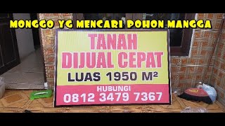 BANTU TEMEN JUAL TEGALAN ADA MANGGA 17 BATANG UDA MENGEMBANG & POHON JATI 10 BATANG @iwansport1927