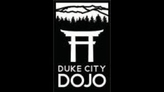 What we do at Active Arts at Duke City Dojo