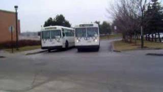 YRT 2033