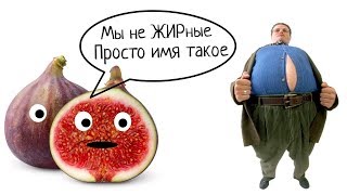 Что такое инжир