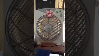 12" Maspion box fan EX-2109T #Shorts