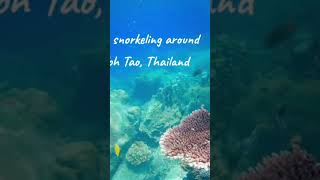 Snorkeling Koh Samui