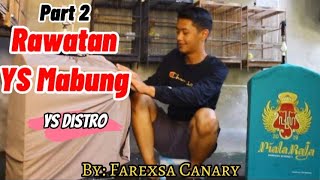 Tips RAWATAN KENARI YORKSHIRE MABUNG/NGURAK | By: Farexsa Canary |