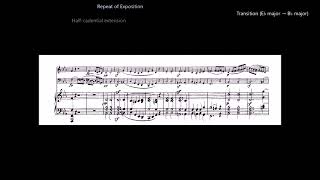 A Guided Tour of Ludwig van Beethoven's Piano Trio No. 1 in E♭ Major, Opus 1 No. 1 (1795)