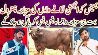 Buffalo Ko Injection Lagane Walon Ki Chitral | Allama Ali Nasir Talhara New Funny Clip|Nawab Azadari