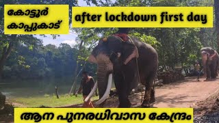 കോട്ടൂർ കാപ്പുകാട് ആന പുനരധിവാസ കേന്ദ്രം kottoor kappukadu  elephant rehabilitation center