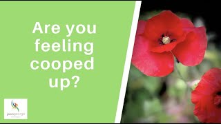 Are you feeling cooped up?