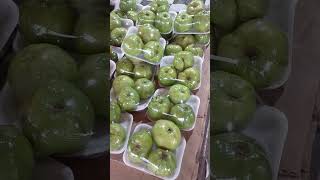 SEGAARR! WARNA HIJAU RENYAH HARGA BUAH JAMBU KRISTAL RP 10 RIBU PER PAKET DI BALARAJA TANGERANG!!