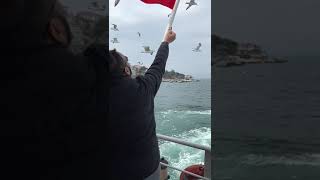 #istanbul 🇹🇷 #Bosphorus #sea #seagull