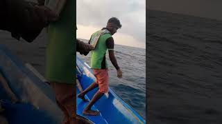 grouper fish 🐟#pymeenavan #fishingtamil #ytshorts #subscribe #trendingshorts #fishcatching