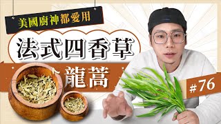 【地獄廚神的口袋香草？】龍蒿 Tarragon｜法國料理中的四大香草之一｜自製法式奶醬的靈魂香草｜如果買不到龍蒿要怎麼辦？｜香料老司機 Rex｜#香料QA76