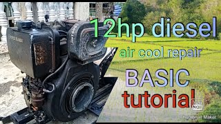 Air cool Diesel single piston 12hp repair tutorial