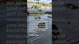 insektisida bahan aktif klorpiifos #yoooksamasamabelajar #pertanianmasdyer