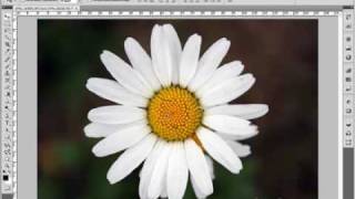 Pixelstarter Photoshop Videotraining Teil 1. Arbeitsweise verstehen