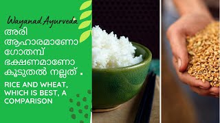 RICE AND WHEAT,WHICH IS GOOD IN DAILYLIFE  | അരി ആഹാരമാണോ ഗോതമ്പ് ഭക്ഷണമാണോ കൂടുതൽ നല്ലത് .