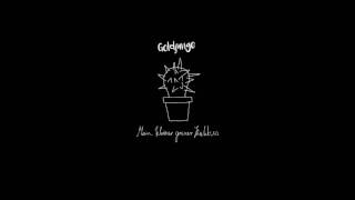 Goldjunge - Mein kleiner grüner Kaktus