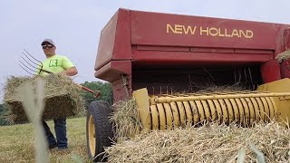 Couple hard working Amish kids picking up and stacking bales of hay!!