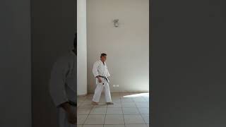 Kihon Wadoryu: Juntsuki notsukomi.                        #artemarziale #wadoryu #karatedo