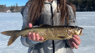 Maine ice fishing Kezar Lake ice fishing derby #maineoutdooradventures #fishing