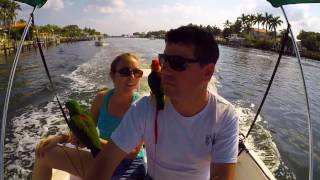 BoatParrots Go Boating