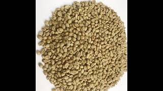 New Crop green beans arabica grade screen 18 and screen 16 low MOQ ready for shipping from Viet Nam