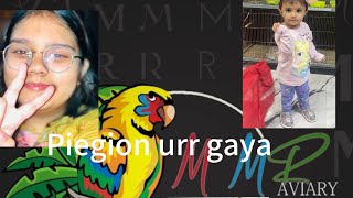 PIEGION URR GAYA MMR AVIARY TOUR | #goviral #Funny#mostviral #fatherdaughter#sisters#familyvlog😱😱