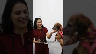 PREF DO NATAL  HOSP VETERINÁRIO