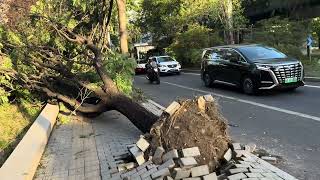 after big wind in Beijing 💨