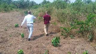 INSTANT PLOT ALLOCATION AT GREEN PALMS ESTATE UMUAGWO WITH ONE OF OUR DIASPORA CLIENT